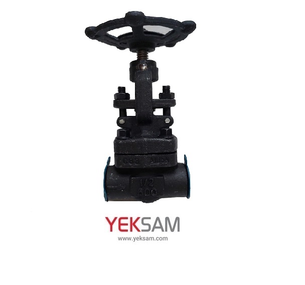 شیر فلکه کشویی فولادی کلاس 800 سایز 2 اینچ ساکتی SW