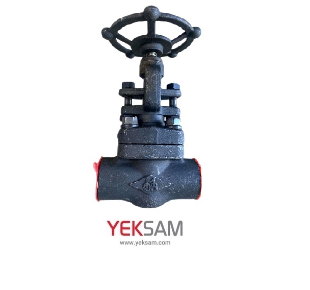 شیر فلکه سوزنی فولادی کلاس 800 سایز 2 اینچ ساکت ولد