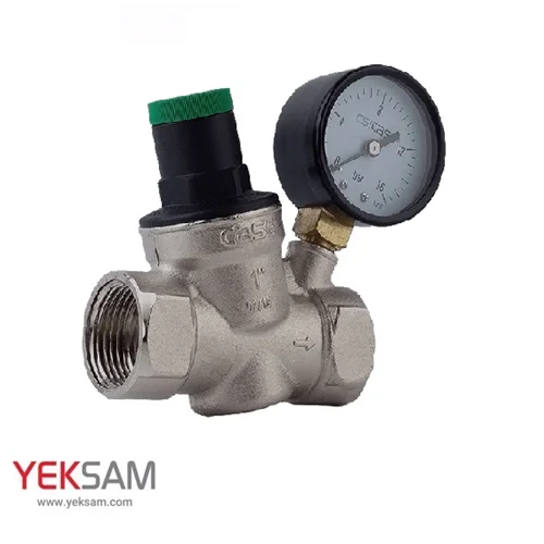 فشار شکن دیافراگمی مانومتر دار CS CASE سایز 1 اینچ 16 بار