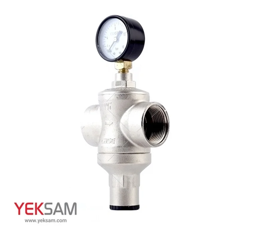 فشار شکن پیستونی مانومتردار CS CASE سایز 1/4-1 اینچ 16 بار