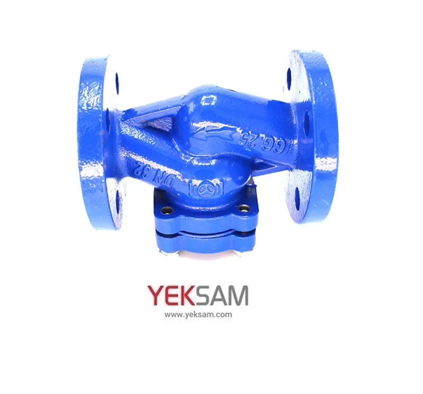 صافی چدنی T تایپ با توری استیل سایز 1/2-1 اینچ PN16 سام