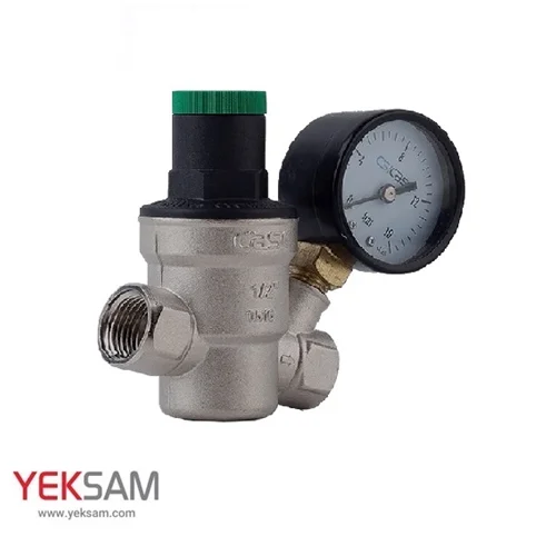 فشار شکن دیافراگمی مانومتر دار CS CASE سایز 1/2 اینچ 16 بار